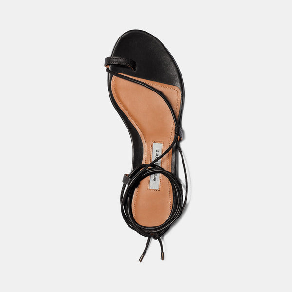 Leo in Black Calfskin