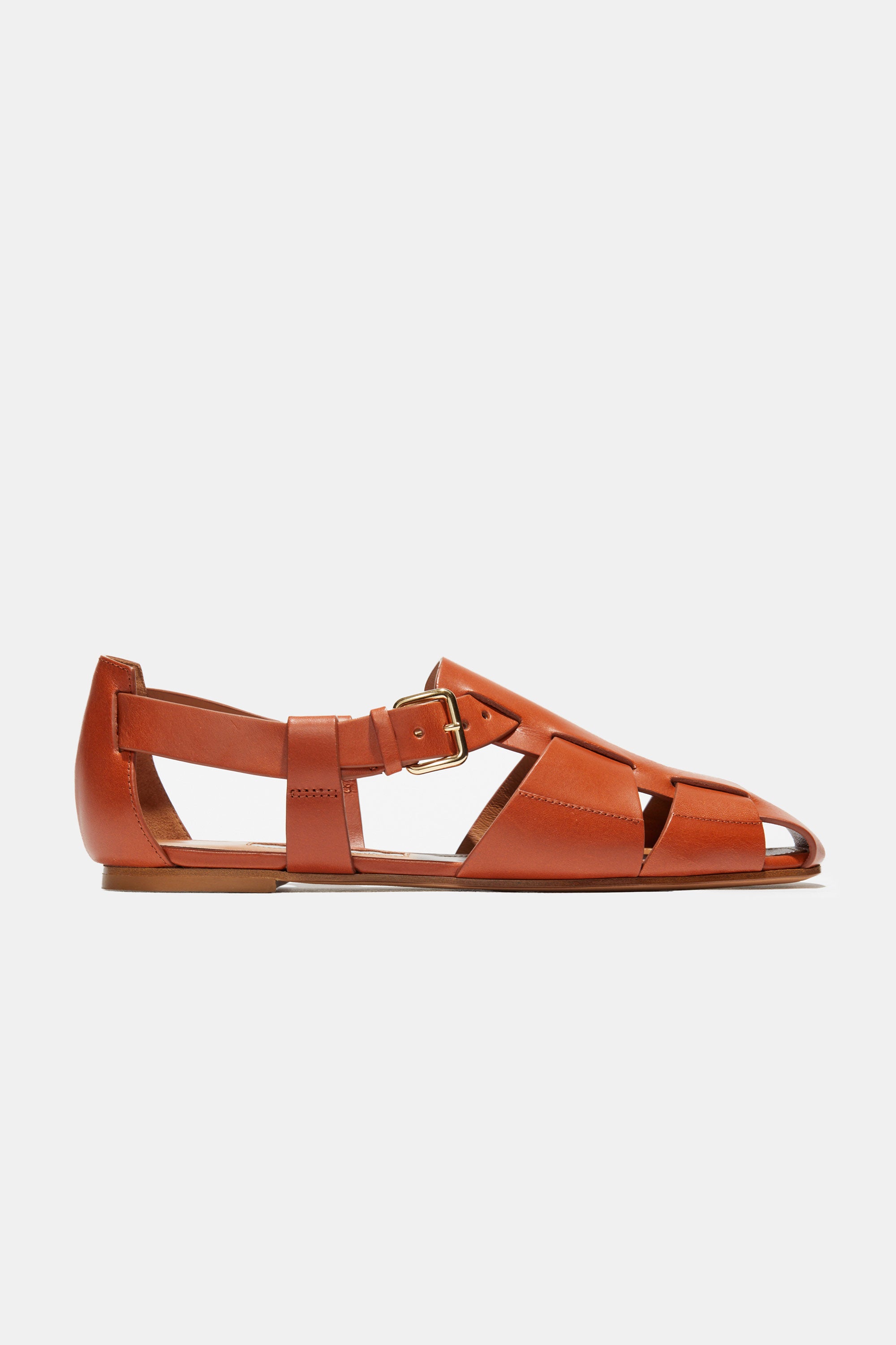 Ernest in Luggage Calfskin