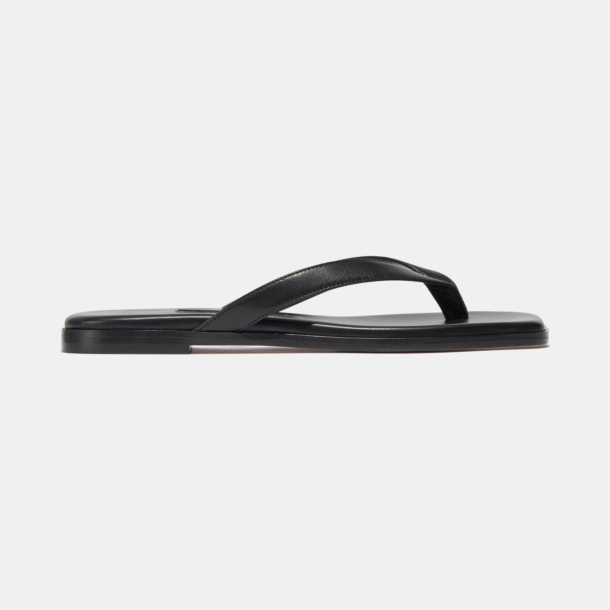 Leo in Black Calfskin