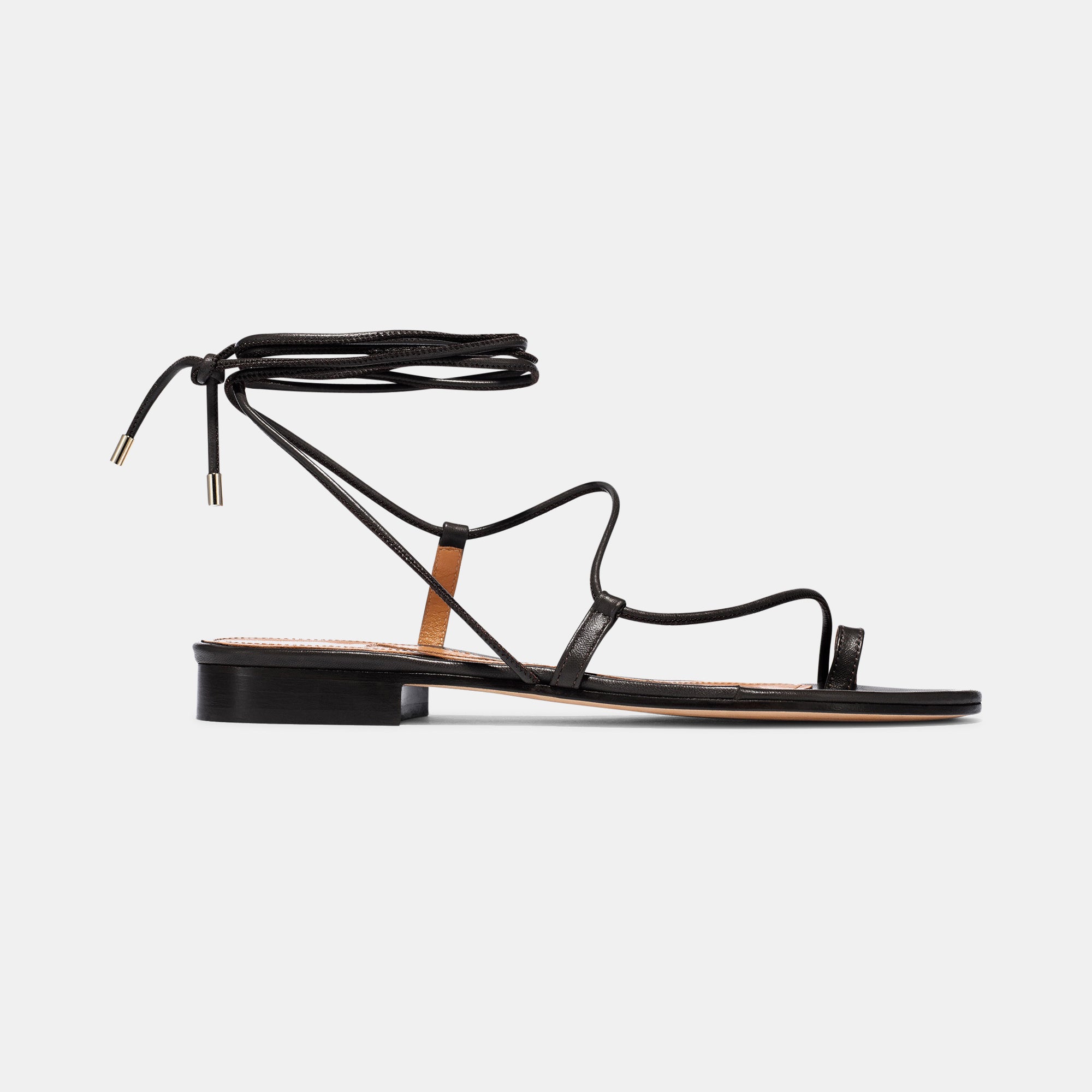 Leo in Black Calfskin