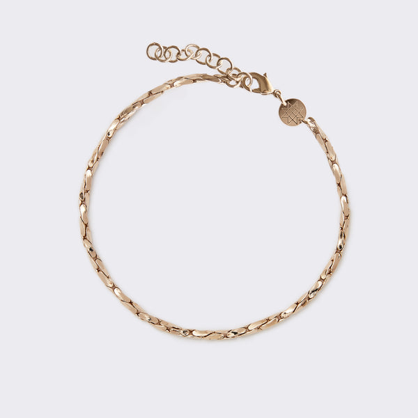 Delicate Chain Anklet — Exclusive